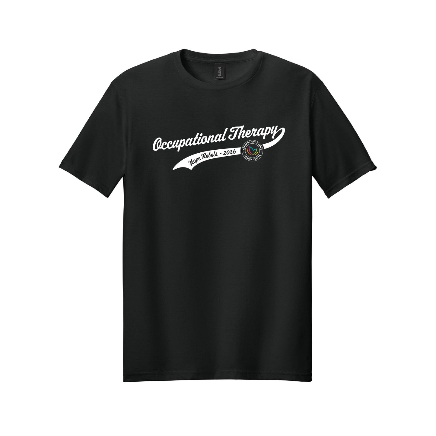 BCHC - Occupational Therapy